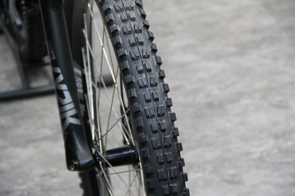 2020 YT Capra