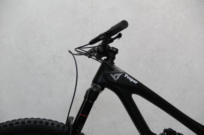 2020 YT Capra