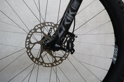 2020 YT Capra