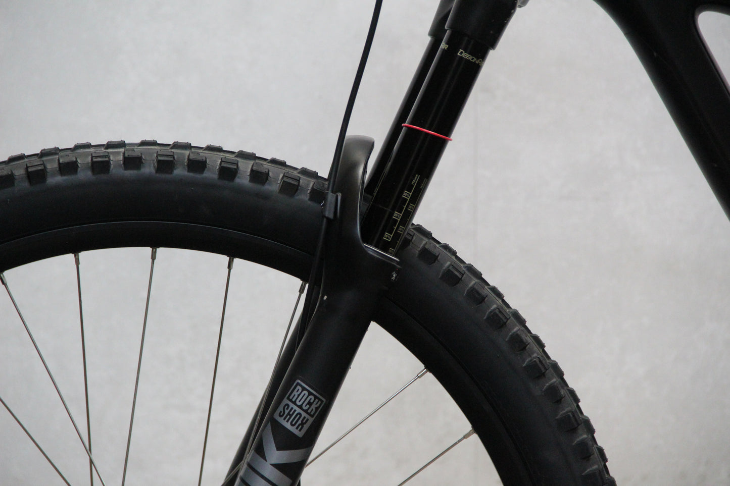 2020 YT Capra