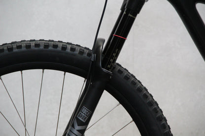 2020 YT Capra