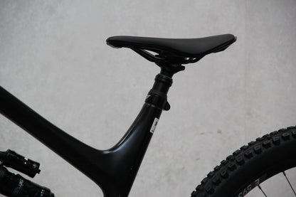 2020 YT Capra