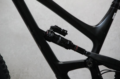 2020 YT Capra