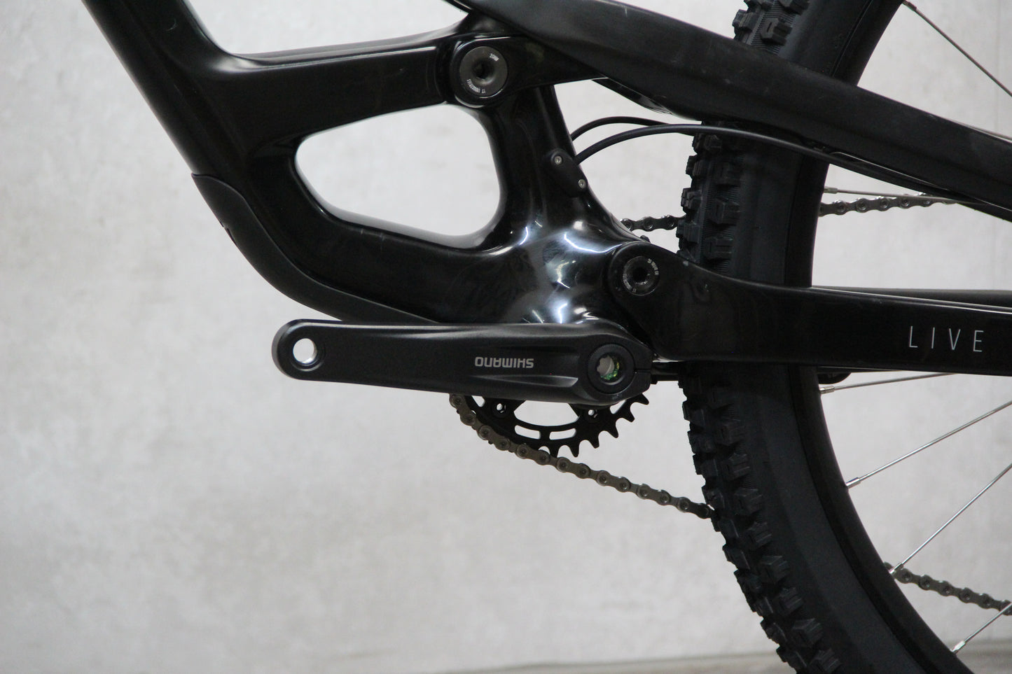 2020 YT Capra