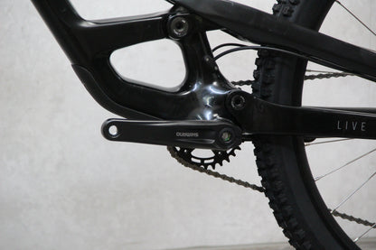 2020 YT Capra