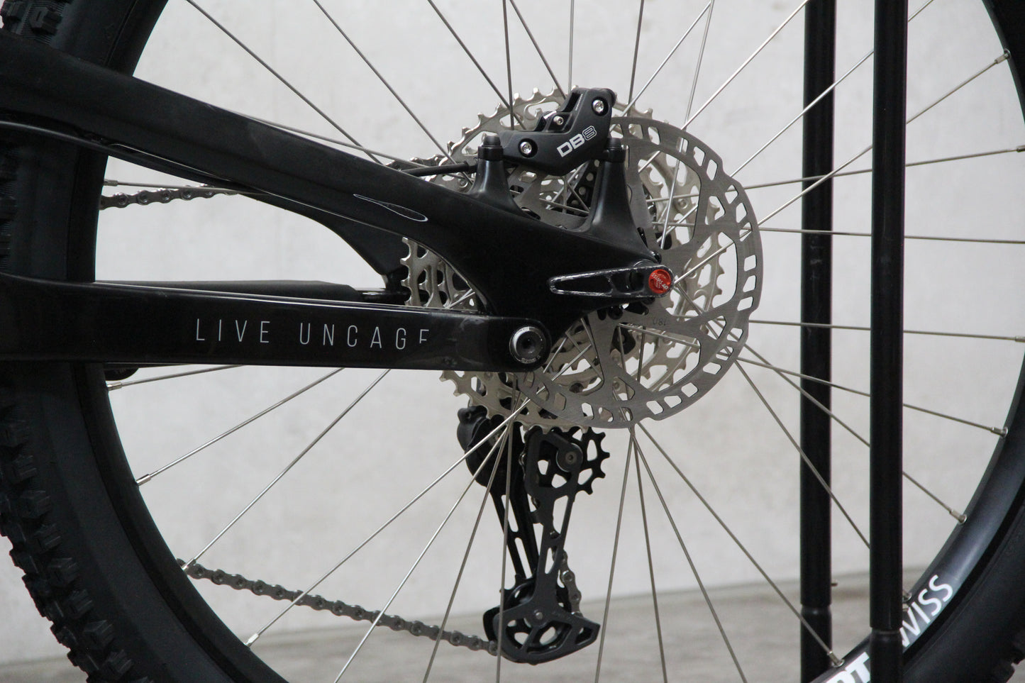 2020 YT Capra