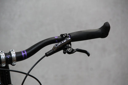 2014 Ridley Frankenstein