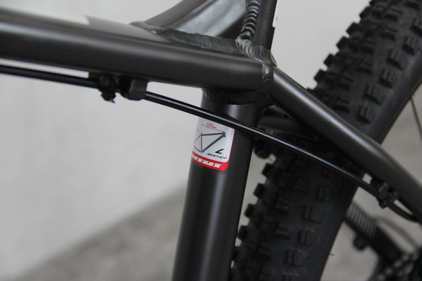 2017 Vitus Sentier