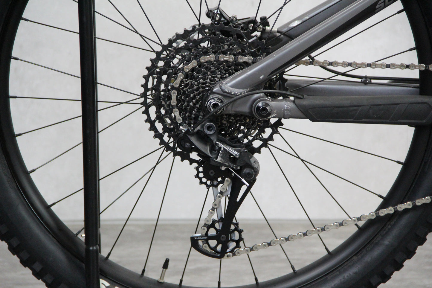 2018 Transition Scout