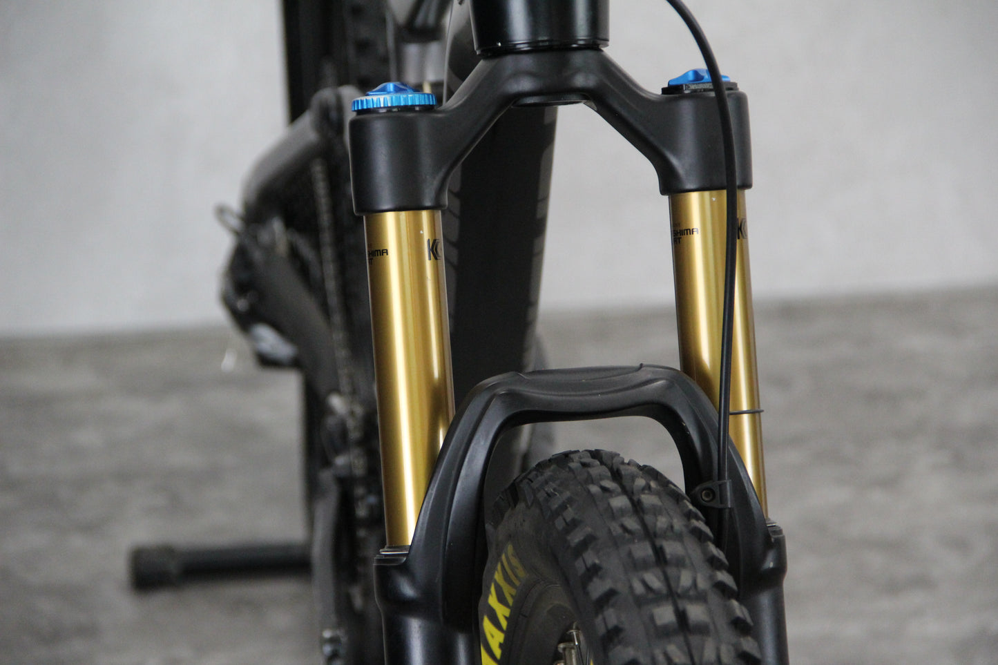 2018 Transition Scout