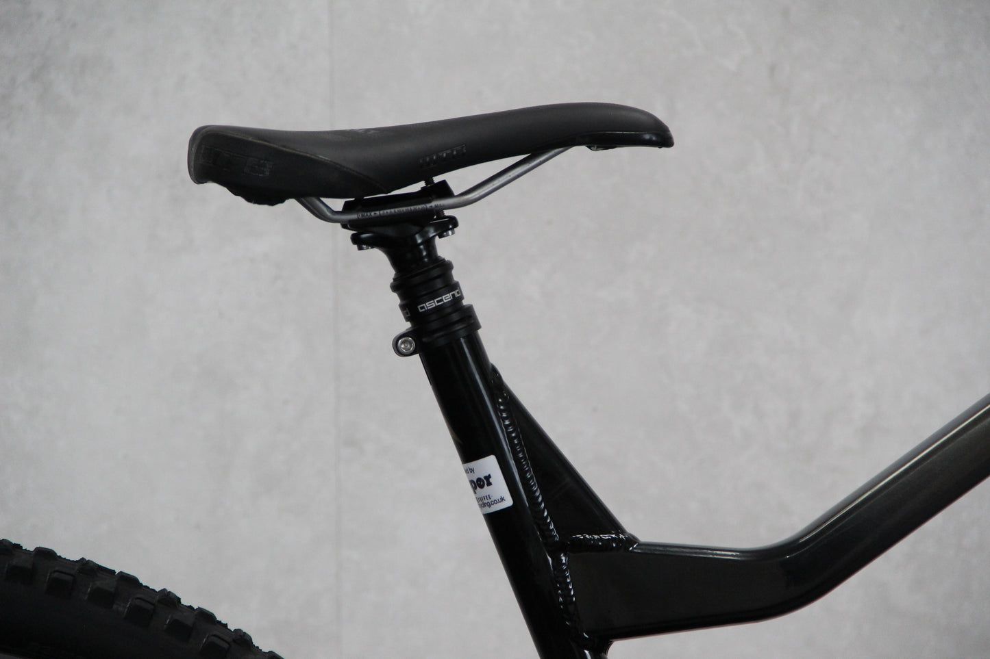 2020 Vitus Escarpe