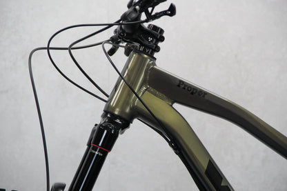 2020 Vitus Escarpe