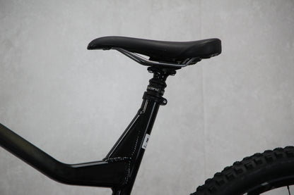 2020 Vitus Escarpe