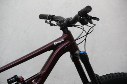 2022 Specialized Status