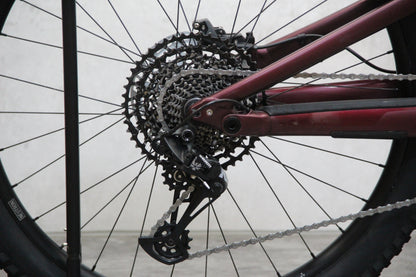 2022 Specialized Status