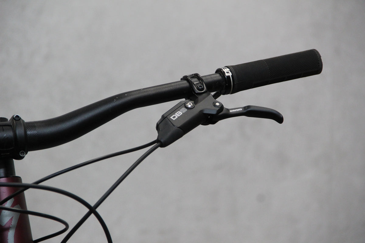 2022 Specialized Status