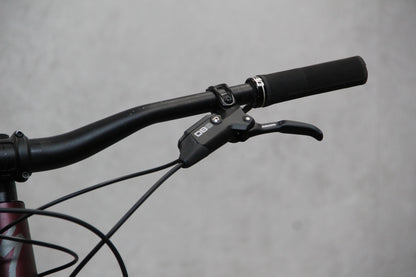 2022 Specialized Status