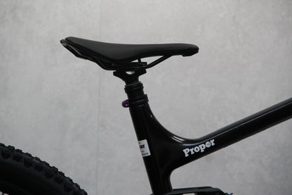 2021 Vitus Escarpe