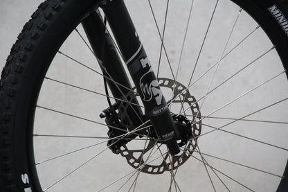 2021 Vitus Escarpe