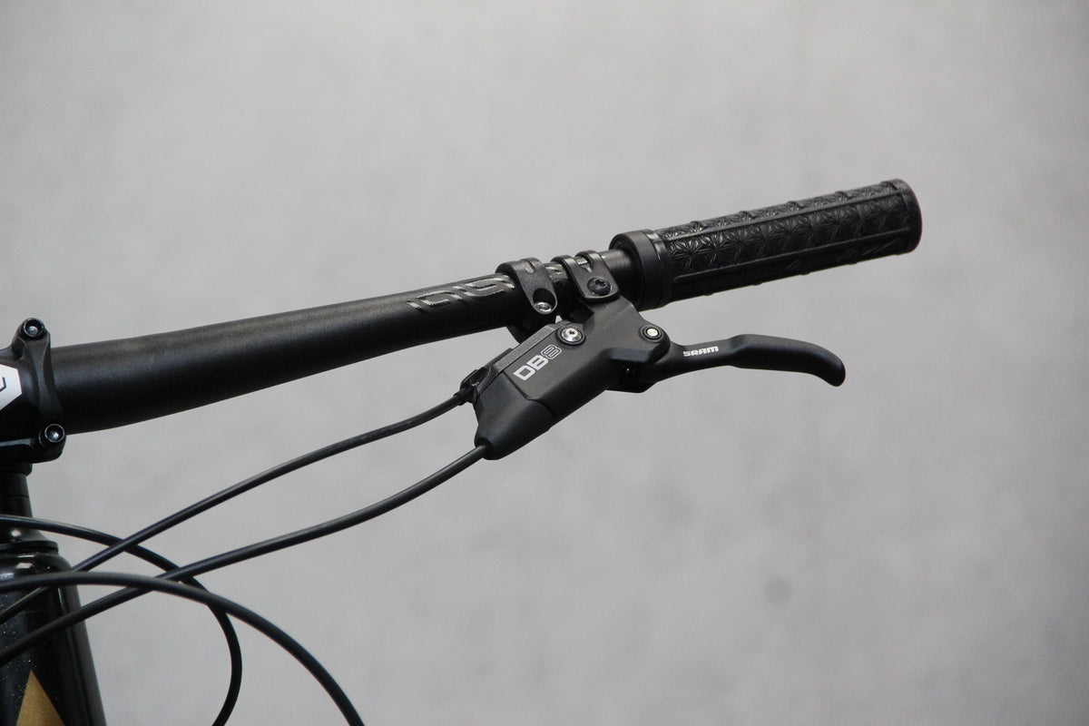 2021 Vitus Escarpe