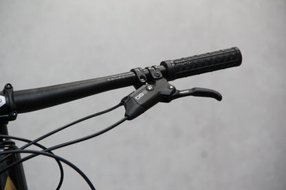 2021 Vitus Escarpe