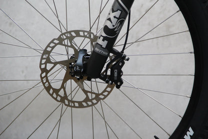 2021 Vitus Escarpe