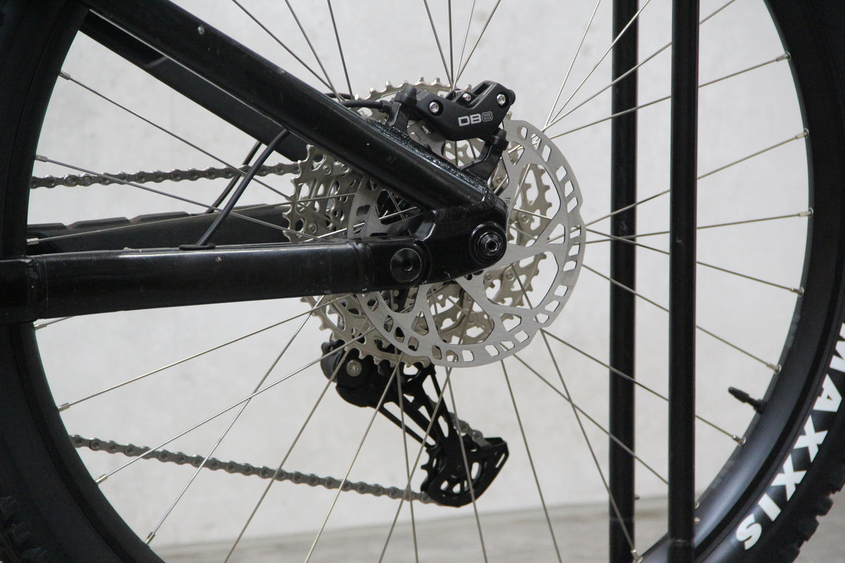 2021 Vitus Escarpe