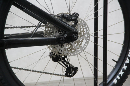 2021 Vitus Escarpe
