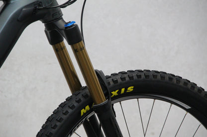 2019 Focus Sam 2 Pro (E Bike)