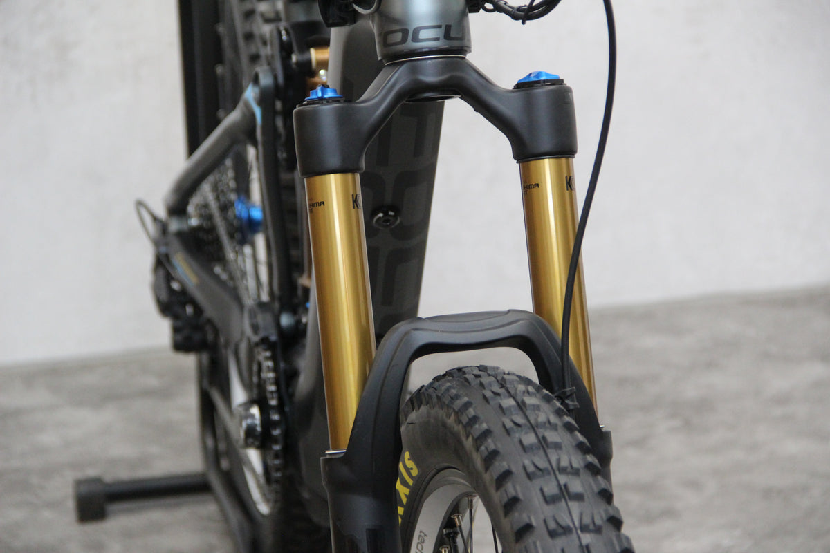 2019 Focus Sam 2 Pro (E Bike)