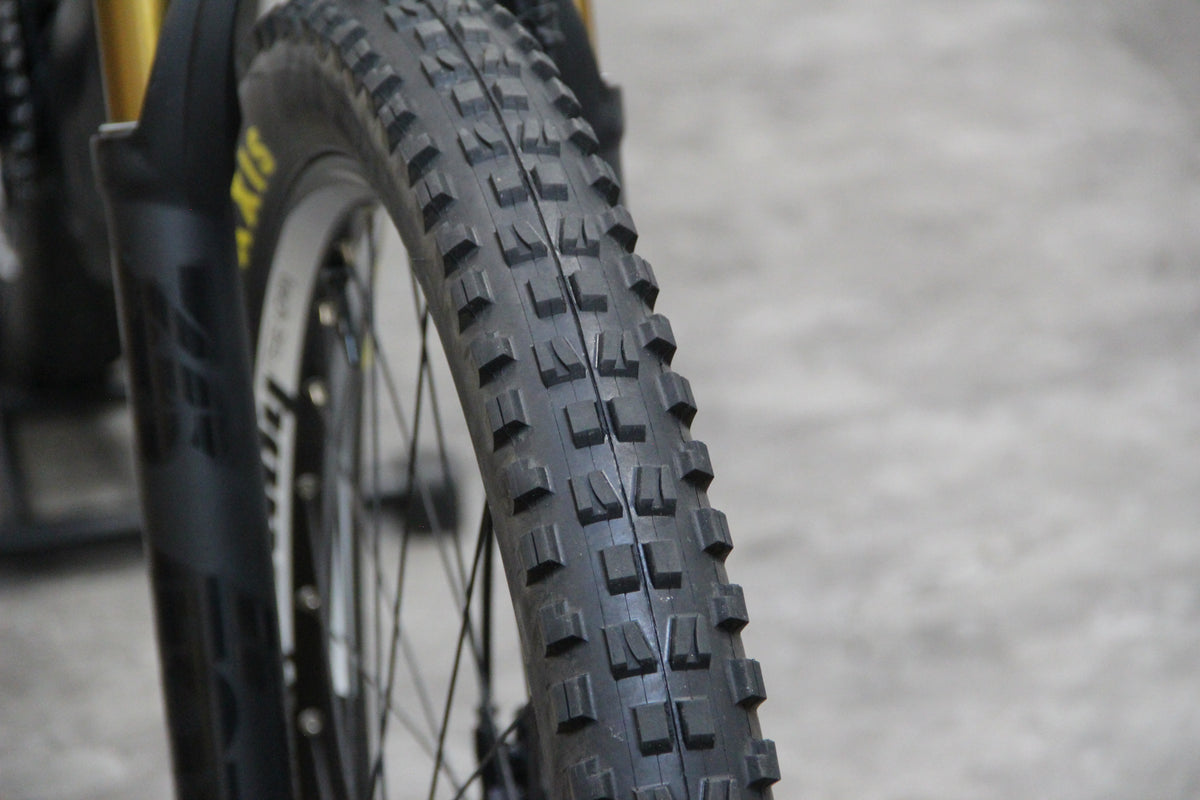 2019 Focus Sam 2 Pro (E Bike)