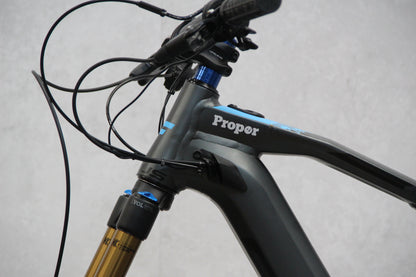 2019 Focus Sam 2 Pro (E Bike)