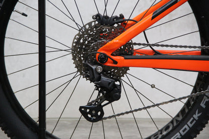 2018 Trek Powerfly LT (E Bike)