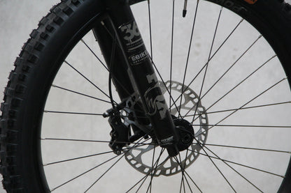 2018 Trek Powerfly LT (E Bike)