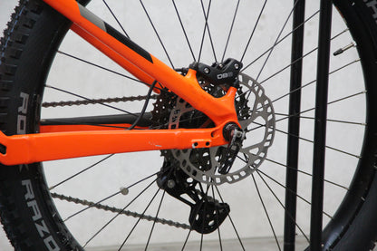 2018 Trek Powerfly LT (E Bike)