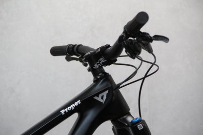 2022 YT Capra