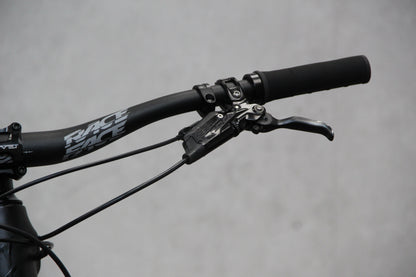2022 YT Capra