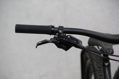 2022 YT Capra