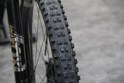 2022 YT Capra