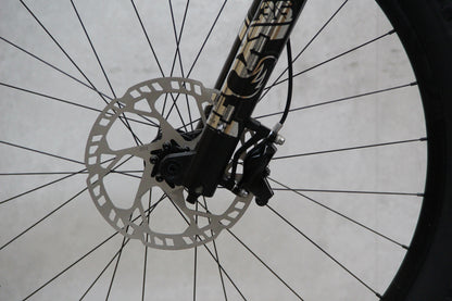 2022 YT Capra