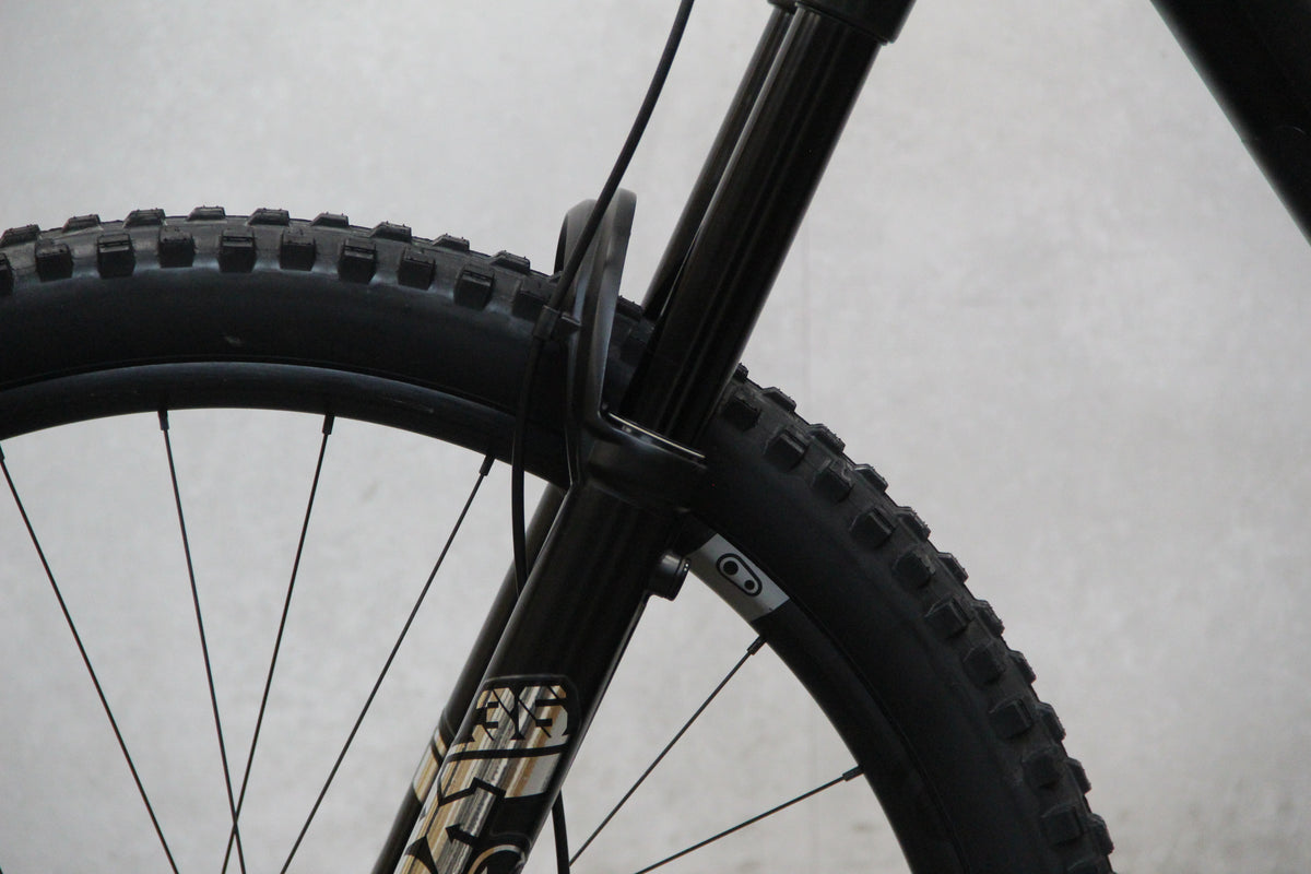 2022 YT Capra