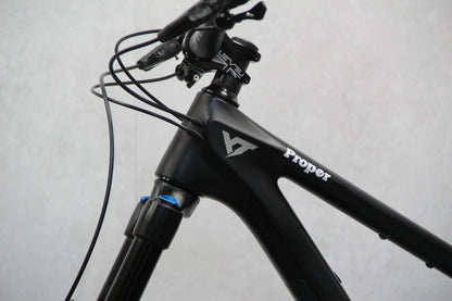 2022 YT Capra