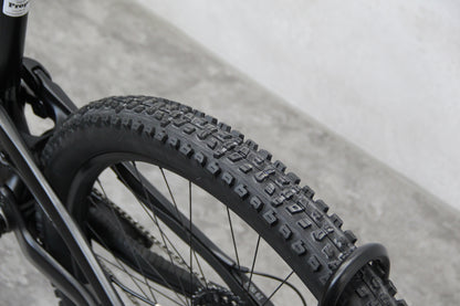 2022 YT Capra