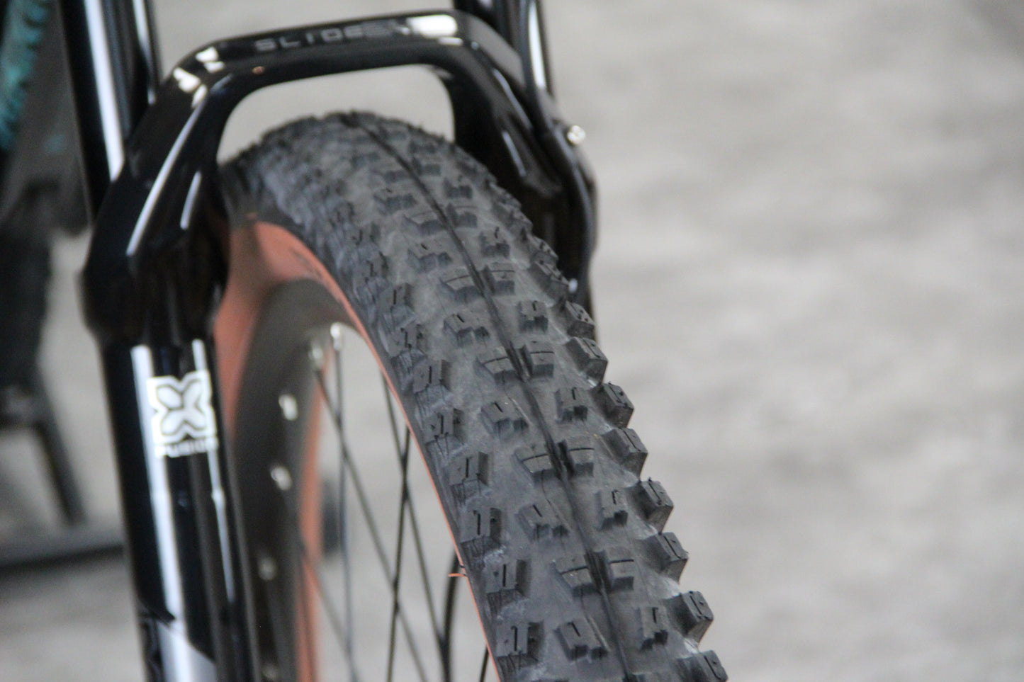 2024 Mari San Quentin