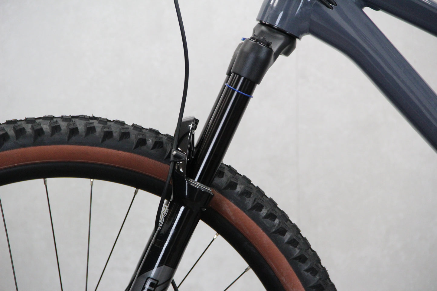 2024 Mari San Quentin