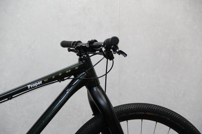 2023 Vitus Sentier