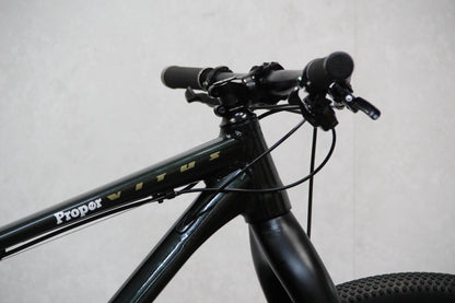 2023 Vitus Sentier