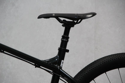 2023 Vitus Sentier
