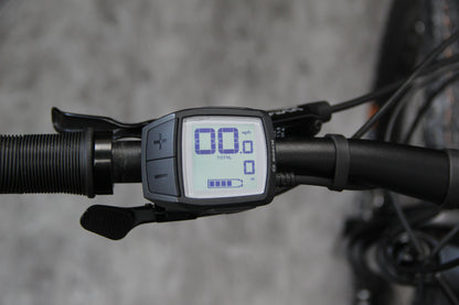 2020 Whyte E150 (E Bike)