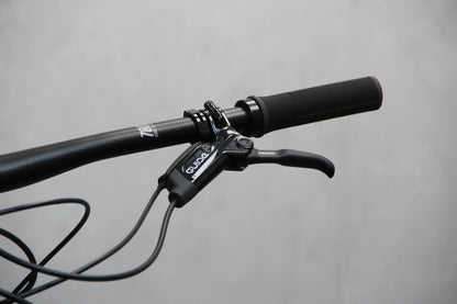 2020 Marin Hawk Hill